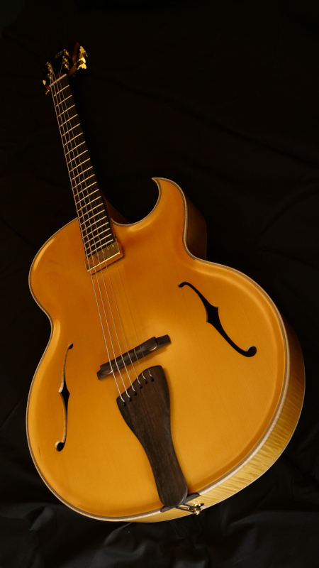 gatto-guitare-archtop